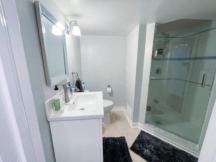 Spacious & Renovated 1bd W/parking Apartment *